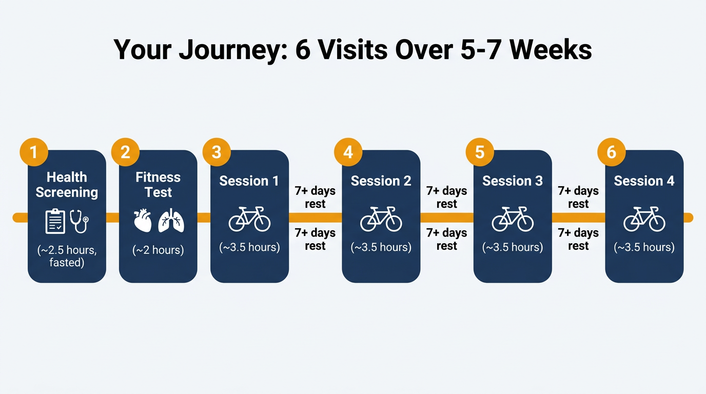 Overview of the 6 study visits over 5–7 weeks